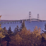 Michigan movers