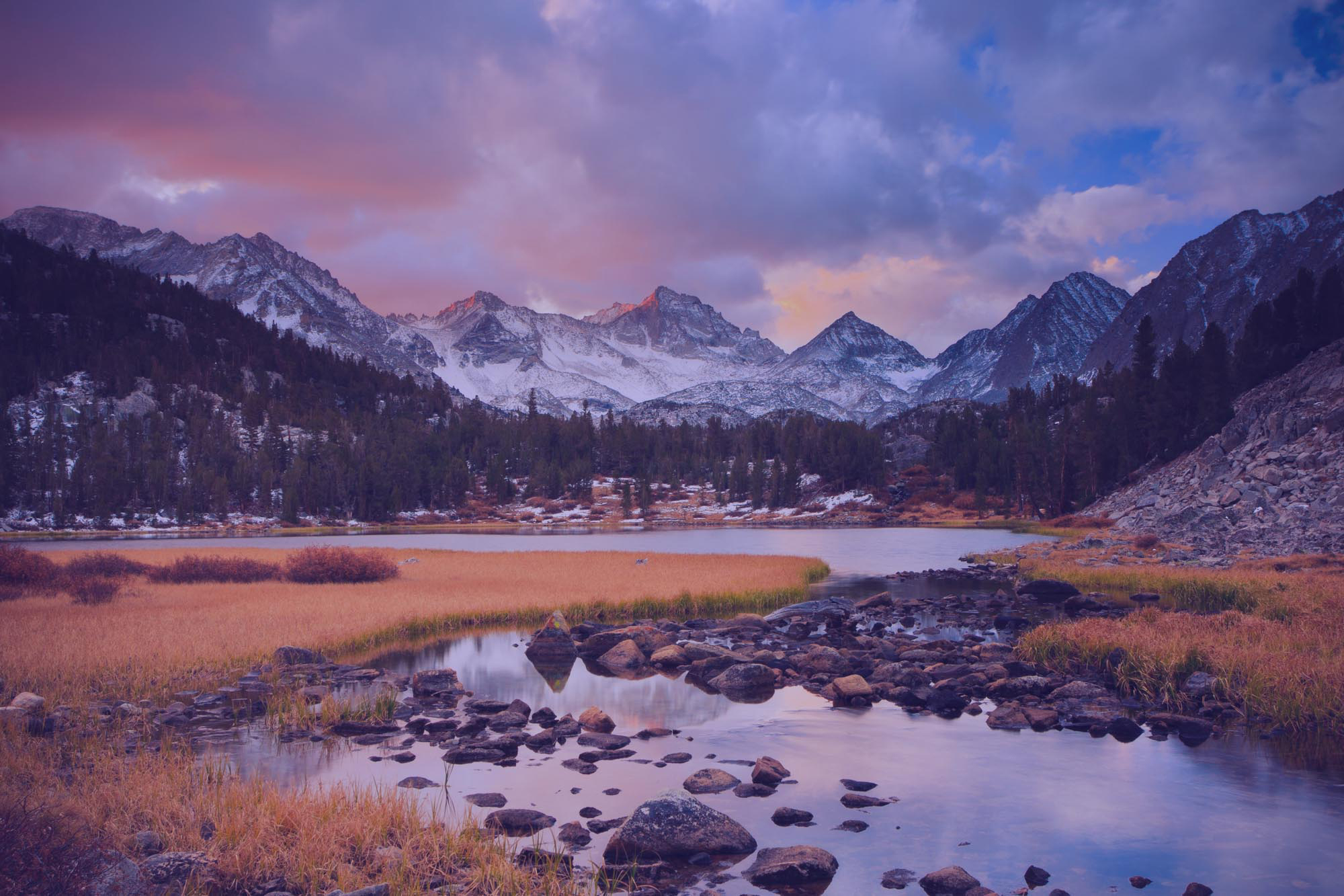 Montana moving companies