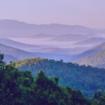 North carolina movers