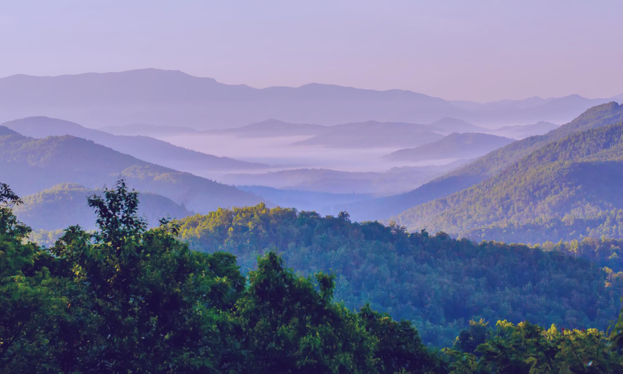 North carolina movers