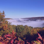 Pennsylvania movers