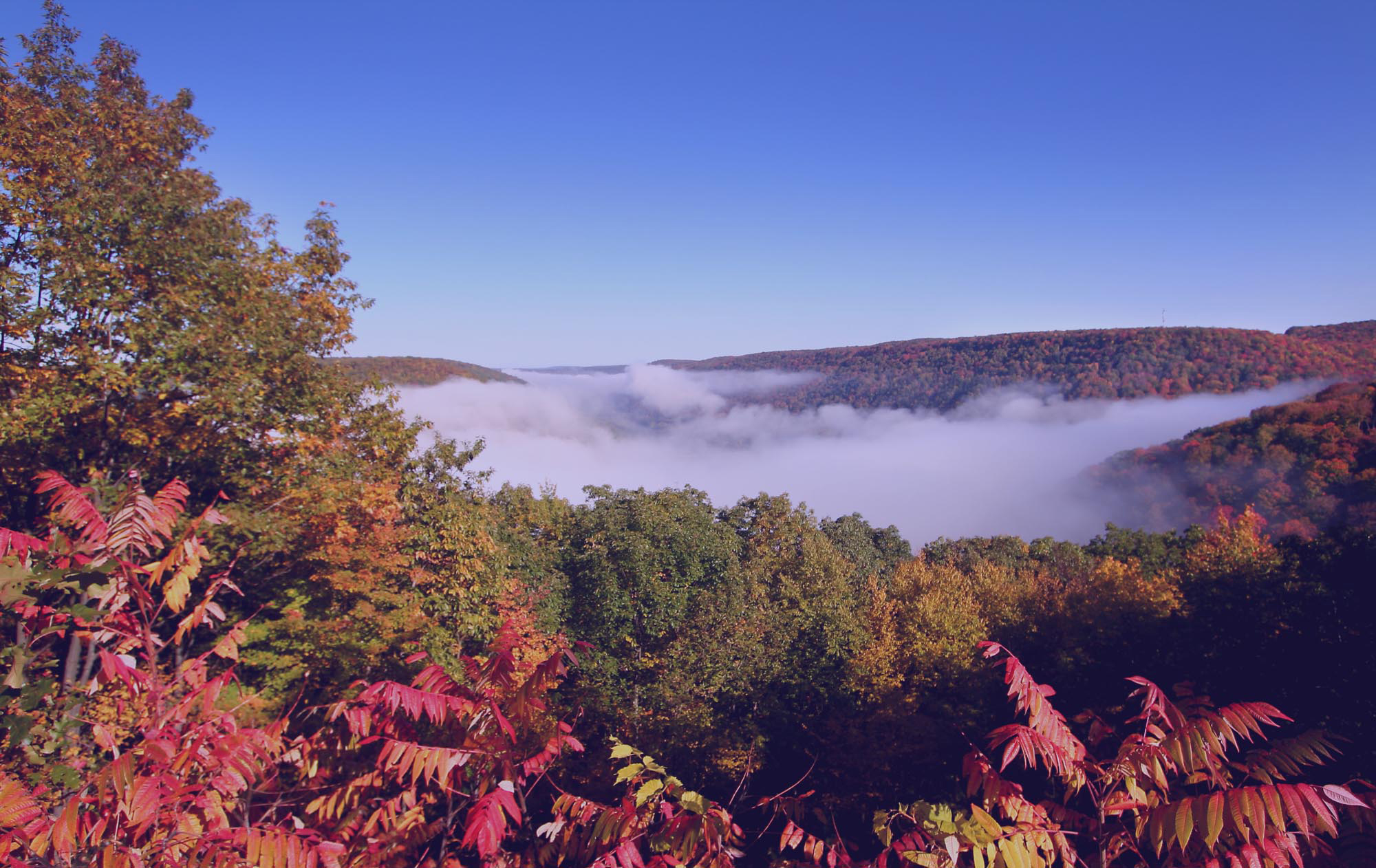 Pennsylvania movers