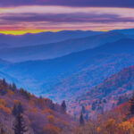 Tennessee movers