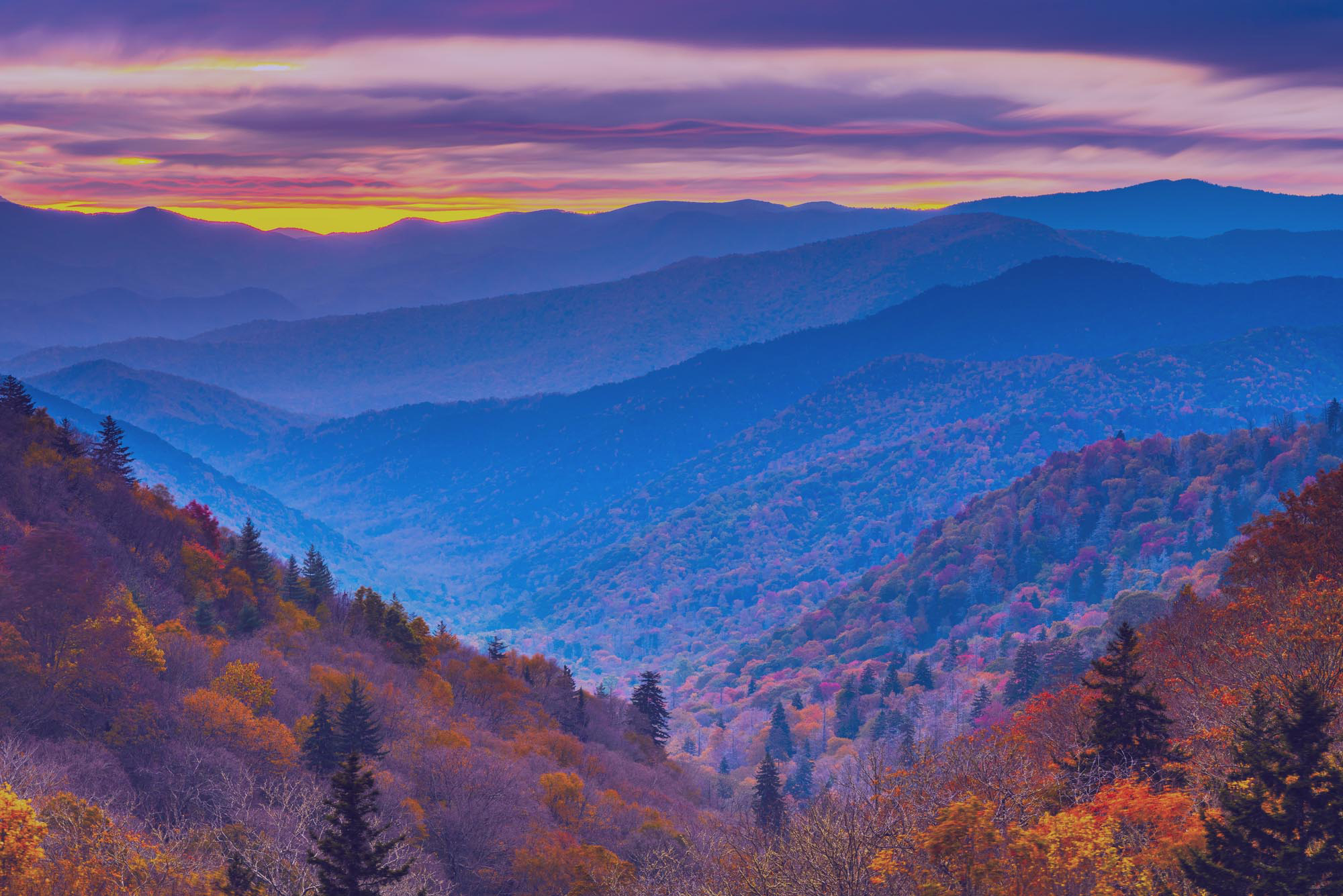 Tennessee movers