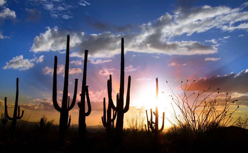 arizona moving cost